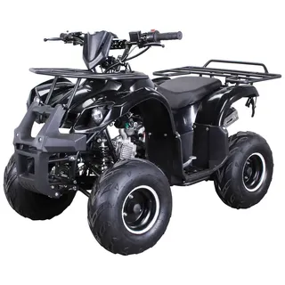 ACTIONBIKES MOTORS Benzin-Kinderquad S-8 Farmer 125 cc Motor Miniquad 125 ccm ATV Not-Aus-Leine, Automatik, Alarmanlage, Scheibenbremse (Schwarz)