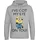 Hoodie Grau L
