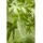 40-60