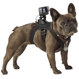 GoPro Fetch Hundehalterung (ADOGM-001)