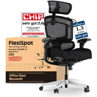 FLEXISPOT ErgoX Pro Ergonomischer Bürostuhl 12-stufig höhenverstellbar 7D Armlehnen 5D Lendenstütze 4D Kopfstütze 250 kg Tragkraft Schaumstoff ... - Schwarz