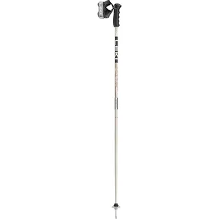 Leki Freeride-Skistöcke Detect S Grau/Schwarz 110