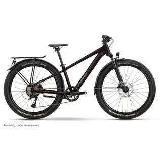 R Raymon Nayta 26 Pro Street 2026 26 Zoll RH 0 cm floridplum