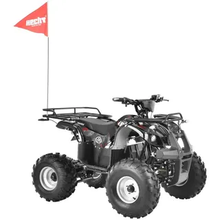 Elektro Quad mit Straßenzulassung HECHT 56155 HURON