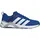 Team Royal Blue/Cloud White/Halo Silver 42
