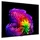 OLED55G68LW 55" 4K OLED evo AI G6 Smart TV