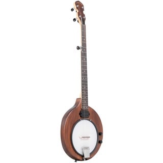 Gold Tone EB-5 5-Saiter Elektro-Banjo mit Tasche