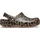 Braun 37