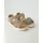 Beige 31