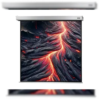 Celexon Motor Professional Plus 120x120 1:1