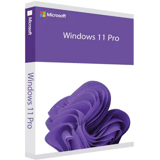 Microsoft Windows 11 Pro ESD EN