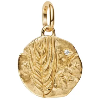Pandora Medaillon Charm Gold 764804C01