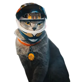 Haustier-Motorradhelm, Vollgesichts-Motorradhelm, Outdoor, Motorrad, Fahrrad, Reithelm, Hut für Katze, Hund, Hunde, Welpen, Kätzchen, Helm, Haustierbedarf, Sammlerstück, kleines Geschenk (Mehrfarbig)