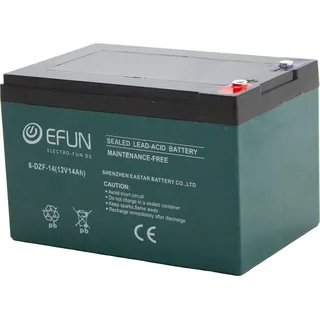 SHENZEN Akku 6-DZF-14 wartungsfrei, geringe Selbstentladung