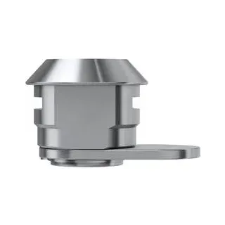 BASI 9000-1339 Hebelschloss Silber