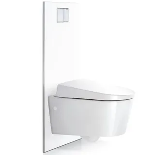 Geberit Designplatte für AquaClean Sela, Mera und Tuma WC-Komplettanlage an UP-Spülkasten, 115329111