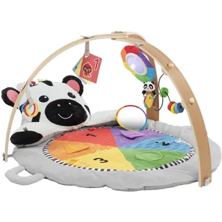 Baby Einstein Krabbeldecke - Spielbogen Spielmatte, Zen's Activity MilestonesTM