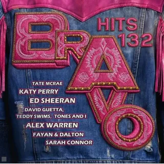 Bravo Hits Vol. 132