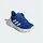 Bright Royal/Cloud White/Dark Blue 29