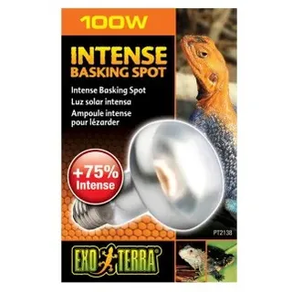 Exo Terra Terrarium-Wärmespotlampe 100 W