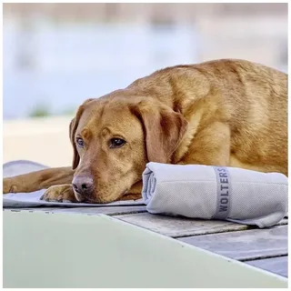 Wolters Watchout Kühlmatte für Hunde grau
