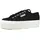 white black 41