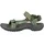 burnt olive 42