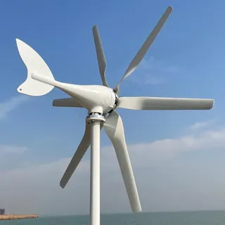 800W Windkraftanlage mit MPPT Laderegler für Zuhause 6 Flügeln 12V 24V 48V Windturbine Windmühle Windgenerator (12V mit Regler)