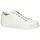 white 42,5