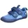 Bär Blau 35