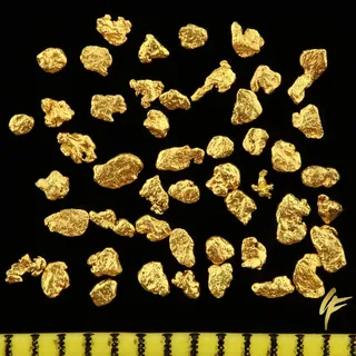 10, 20, 50 echte Goldnuggets aus Alaska mit Zertifikat 20-23 Karat ca. 1 mm groß Münze Barren (20 Goldnuggets)