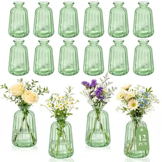 Tismels 12 Stück Kleine Vasen, kleine vasen für tischdeko 180ml | Blumenvase Set, Glasmaterial, Mini Glass Vases, ideal für Hochzeiten,Birthdays,Festivals,Party Vasen Set