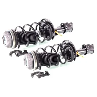 gh Federbein Komplett Federbein