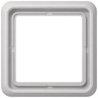 Jung Rahmen 1-fach lgr waage/senkrecht CD 581 LG