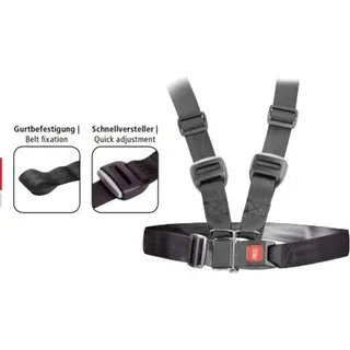 Rolko 4-Punkt Sicherheitsgurt für Rollstuhl