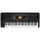 Korg EK-50 Limitless schwarz