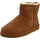 Chestnut 40