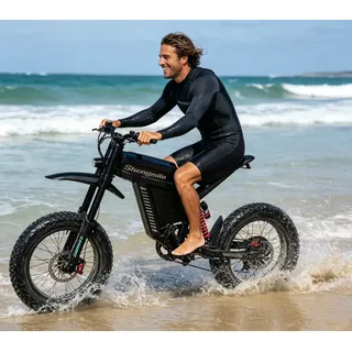20 Zoll Offroad E-Motorrad für Erwachsene 1500W 60V 30AH 65 km/h Vollfederung