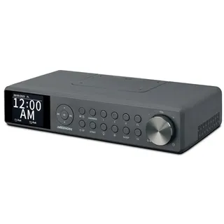 Medion P66750 grau Küchenradio