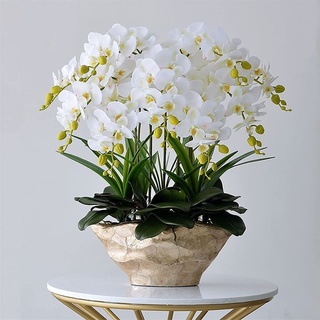 Realistische künstliche Blume, künstliche Orchidee mit Vase, große Kunstblume, Phalaenopsis, künstliche Pflanzen für Zuhause, Wohnzimmer, Arrangements, Dekoration, Weiß, Gelb, 68 cm, Blumenstrauß,