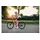 Explore 5 24 Zoll neon pink