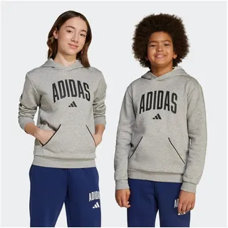 adidas Seasonals Essentials Collegiate Typography Hoodie Kinder -