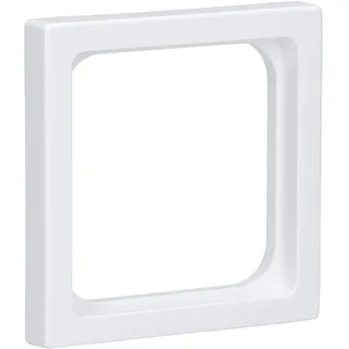 Busch-Jaeger Zentralscheibe dav 50x50,f.TAE-Einsatz 1746/10-84