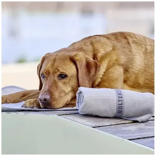 Wolters Watchout Kühlmatte für Hunde grau