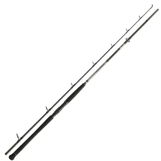 Daiwa Powermesh CF Boje 2,70m 150-400g Welsrute