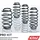Fahrwerksatz Federn Pro-Kit E10-65-036-02-22