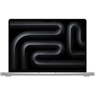 2024 M4 Pro 48 GB RAM 2 TB SSD 20-Core GPU Silber