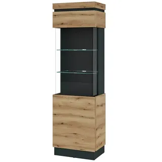 wojcik Vitrine Corte 60 x 40 x 201 cm Braun