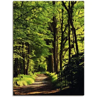 Wandbild ARTLAND "Weg im Wald", grün (farbe bild(er): grün), B:90cm H:120cm, Bilder, als Leinwandbild, Poster in verschied. Größen