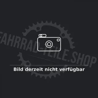 RYDE 28 Zoll Hinterrad Andra 10 mit Shimano Alfine SG-S7001 8-Gang Nabenschaltung - Felge 19-622, Center Lock, schwarz-silber